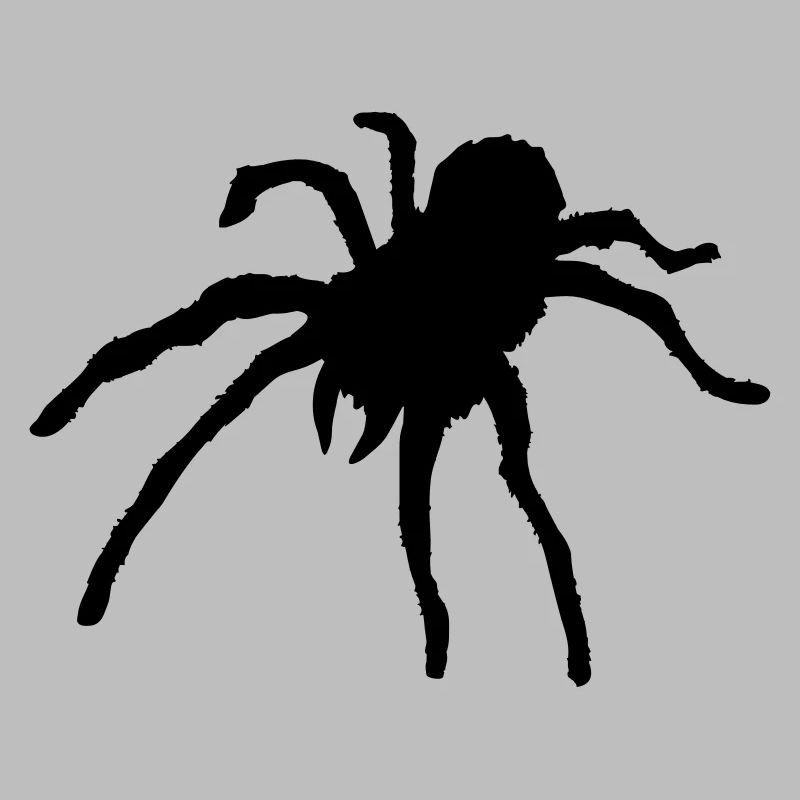 Tarantula Spider