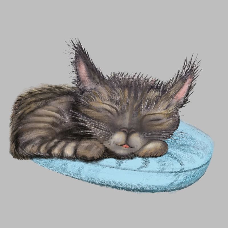 Chat endormi
