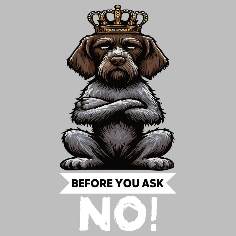 Before You Ask Deutsch Drahthaar Drahthaarhalter