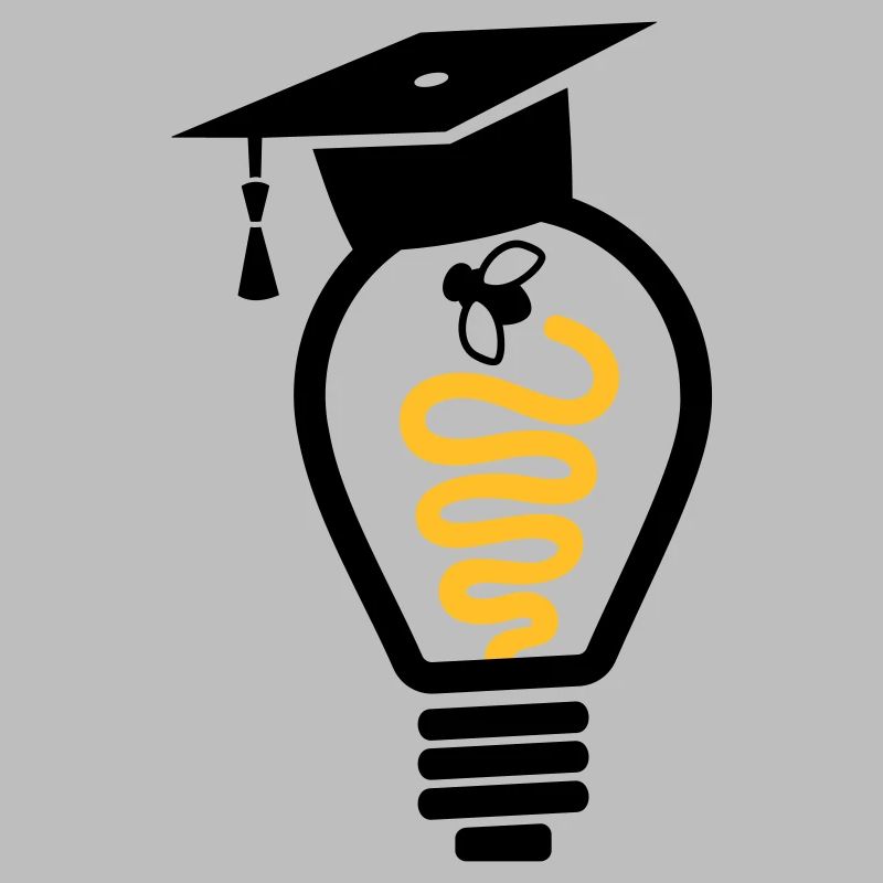 Light bulb mortarboard fly - graduation gift