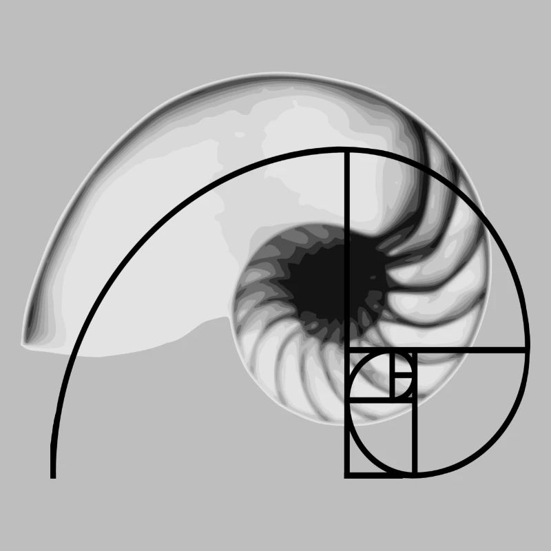 Geometric pattern Fibonacci sequence