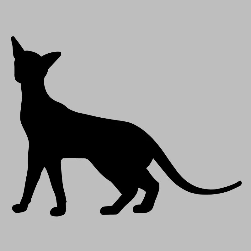 Siamese Cat