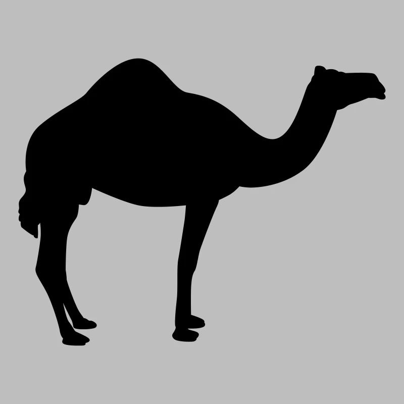 Kamel | Wüste | Dubai | Wüstenschiff