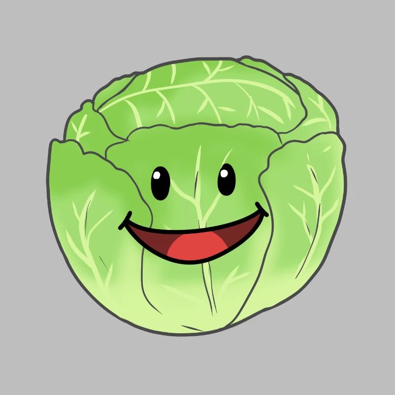 White Cabbage Vegetable Cabbage Head Cabbage Food Vegan