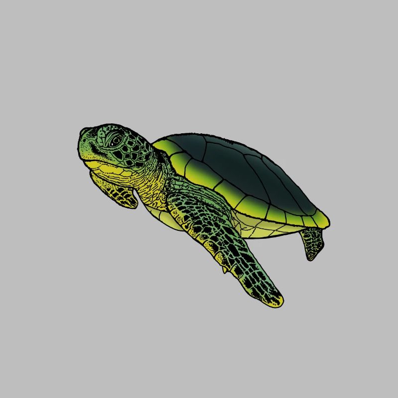 Old turtle with experience gift idea animals