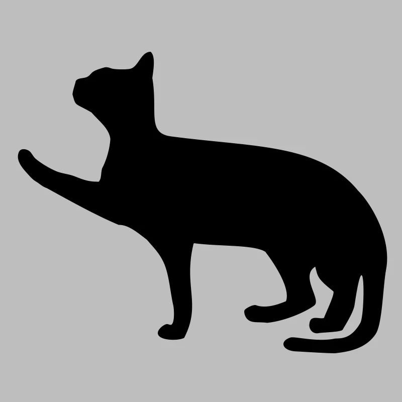 chat