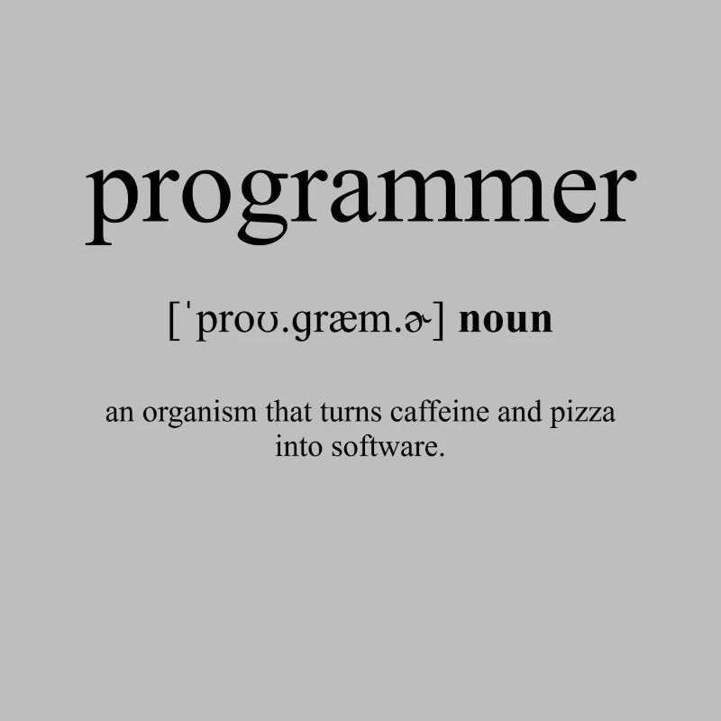 Programmer (Programmierer) Definition Dictionary