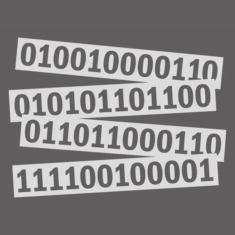Binary Code Program Language