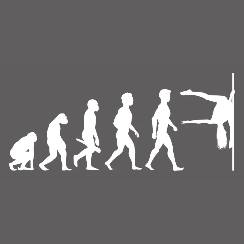 Evolution Poledance Pole Dancing Stange Tanzen