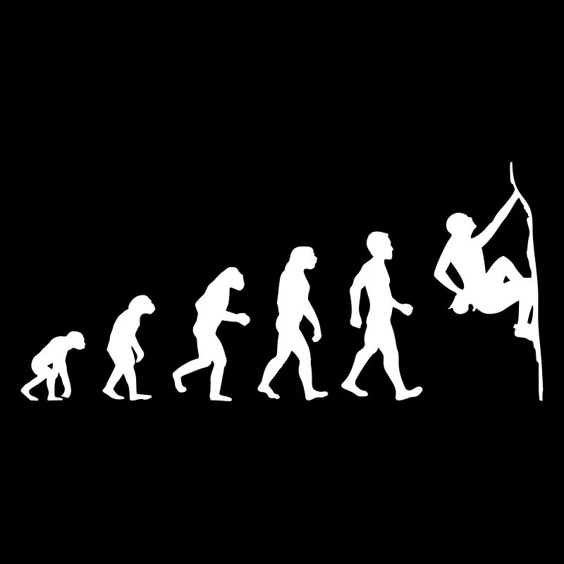 Boulder Evolution