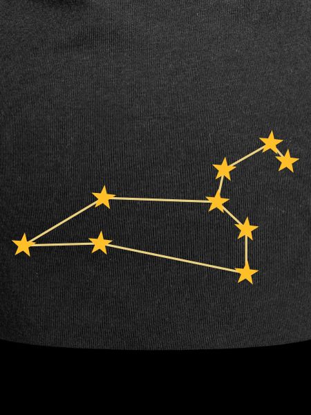 Constellation Leo