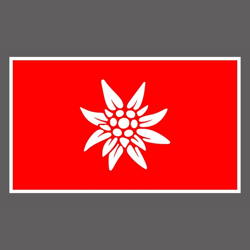 Schweizer Flagge