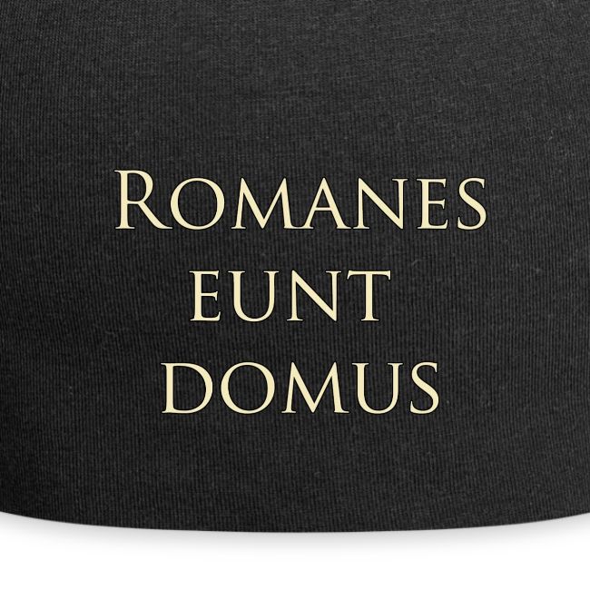 Romanes eunt domus