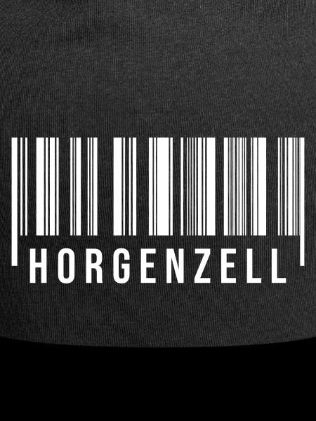 Schwabe Strichcode Horgenzell