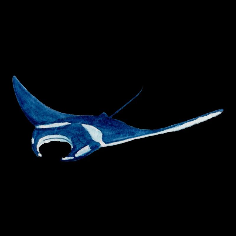 Manta ray var2