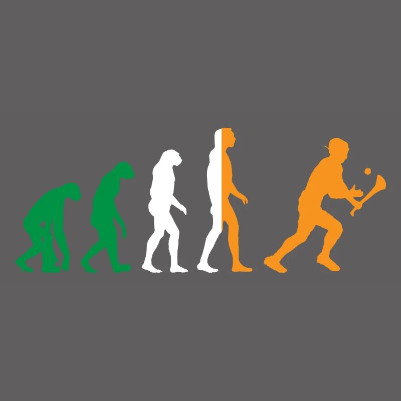 L’évolution du hurling