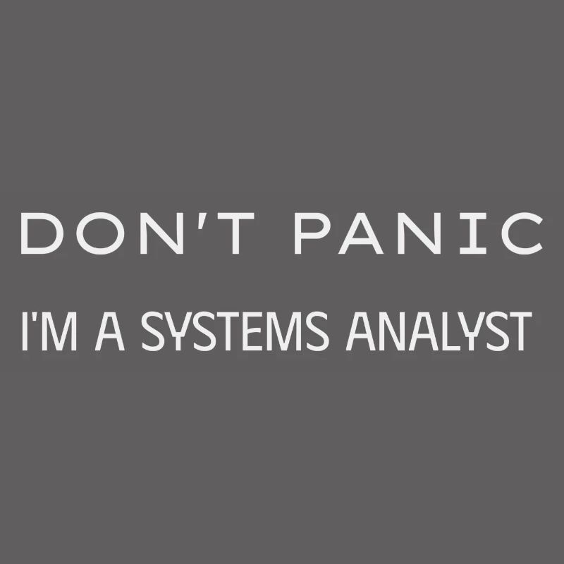 Don t panic I m a Systems Analyst