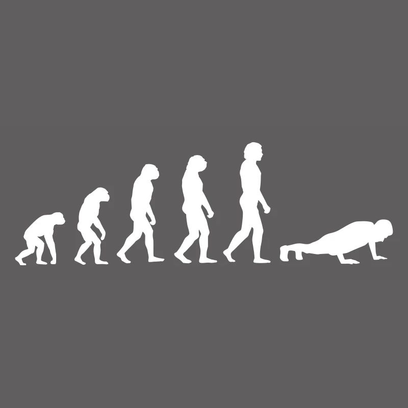 Evolution recumbent support