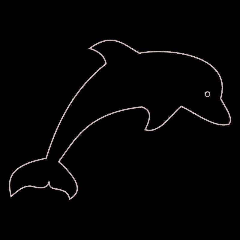 Dolphin gift
