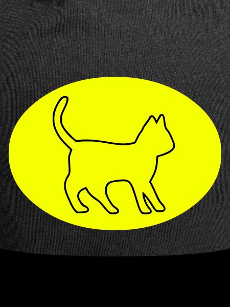 Katze