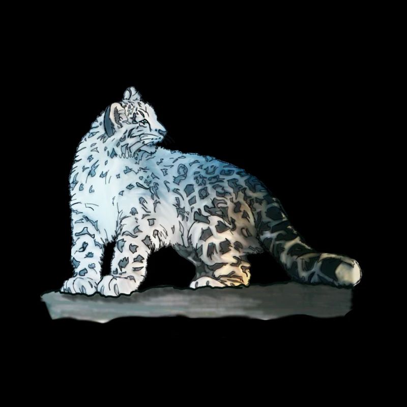Snow leopard on rocks