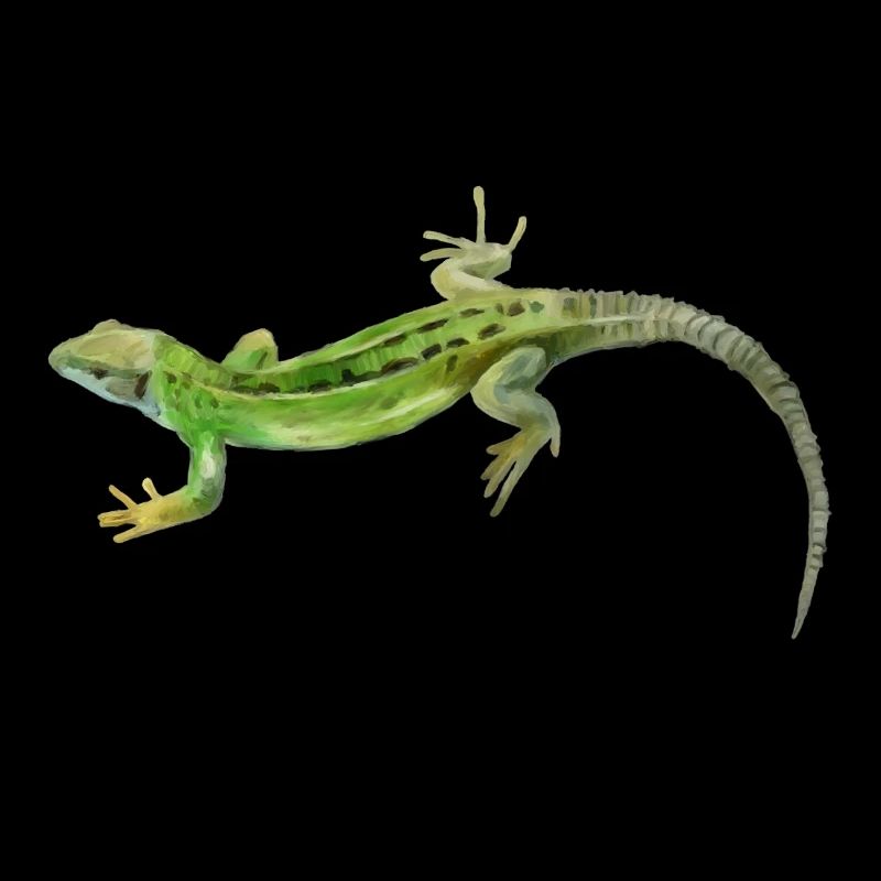 Gecko Green Pattern