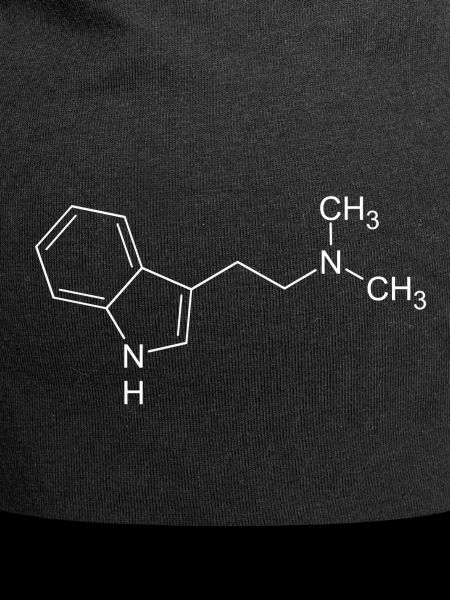 DMT Dimethyltryptamin Strukturformel