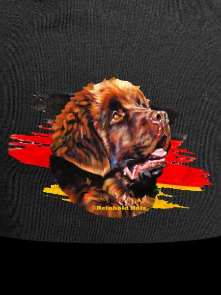 Newfoundland - Neufundländer
