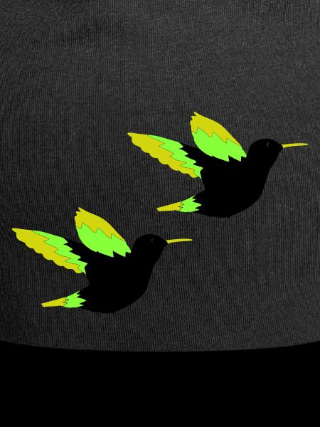 Colibri 02