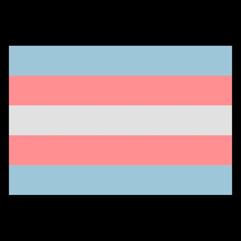 Transgender-Pride-Flag.