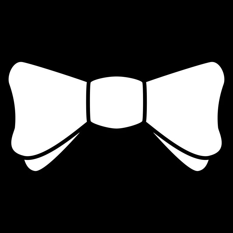 Modern fly