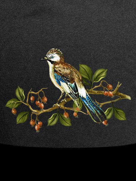 Jay bird