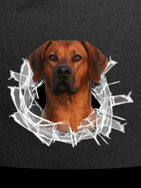Rhodesian Ridgeback auf Glas