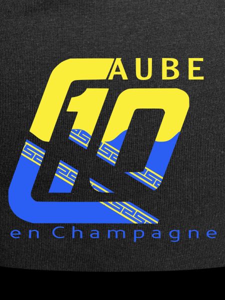 Logo 10 Aube
