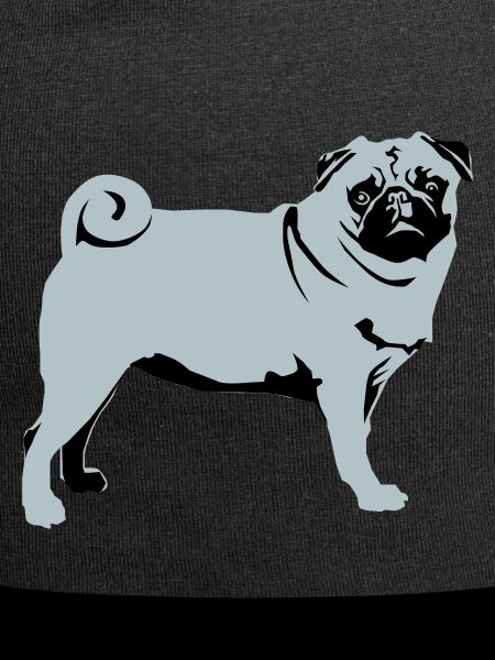 Pug