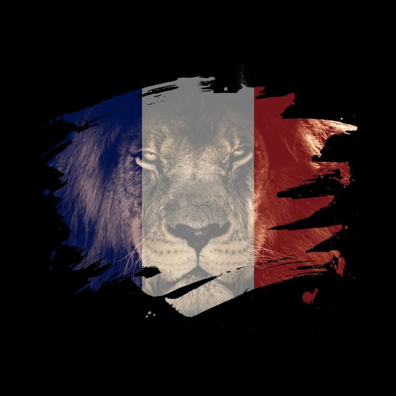 Drapeau france, lion africain, image