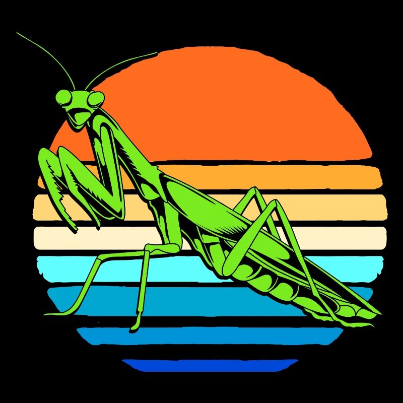 Gottesanbeter Gottesanbeterin Mantis