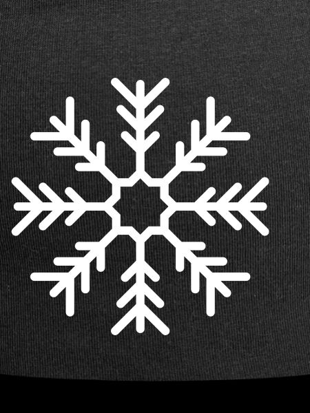 Flocon de neige
