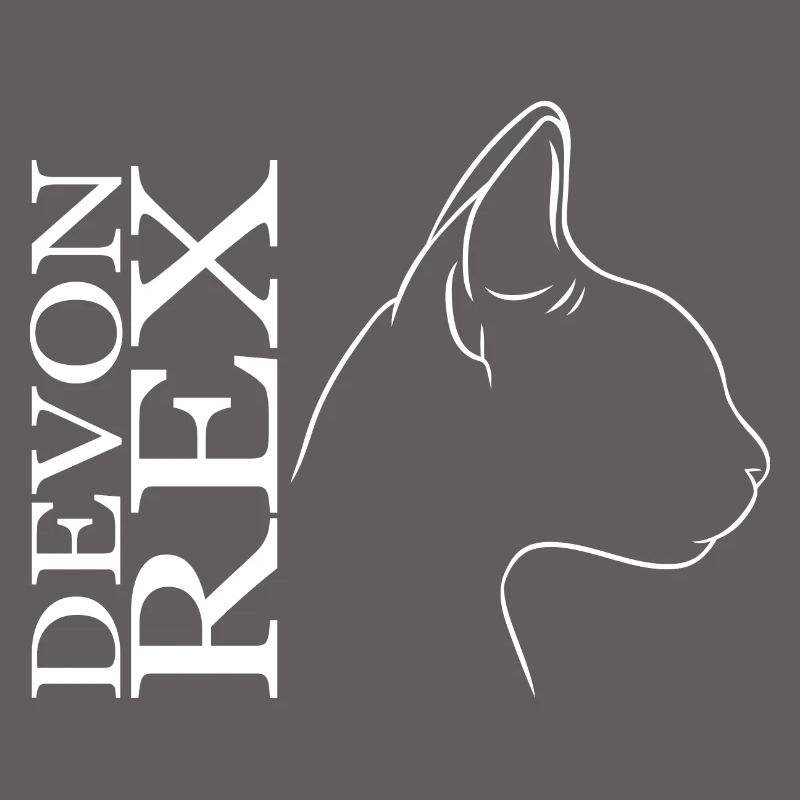 Devon Rex Profile Cat Cat Wilsigns