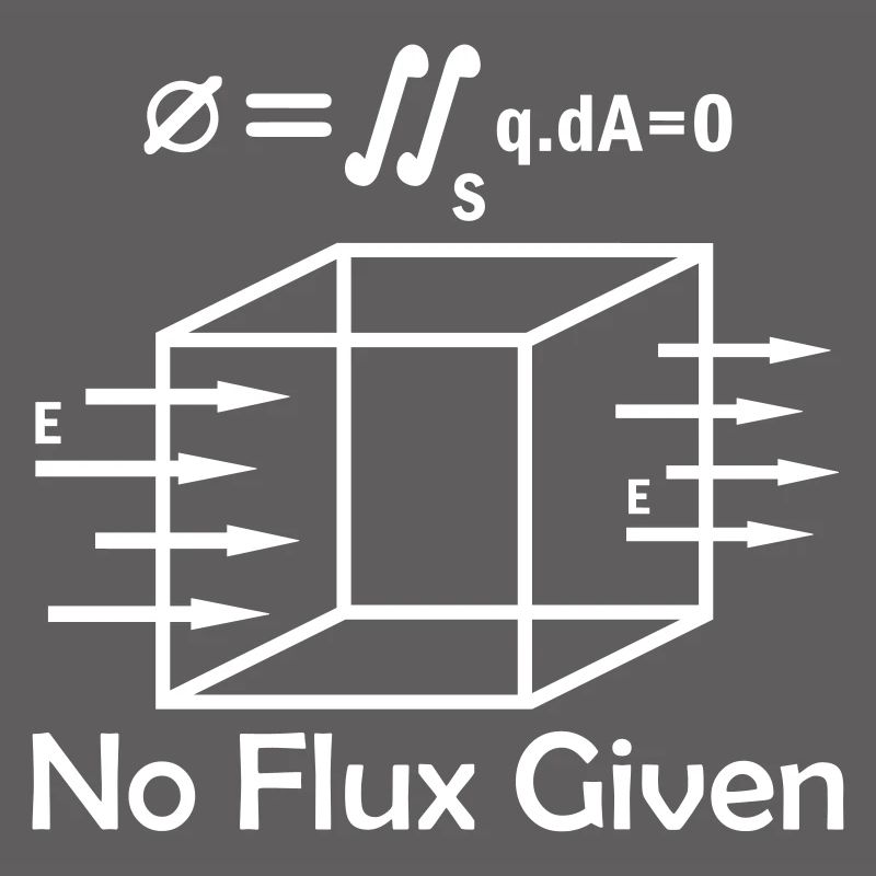 Mathematics Math Physicist