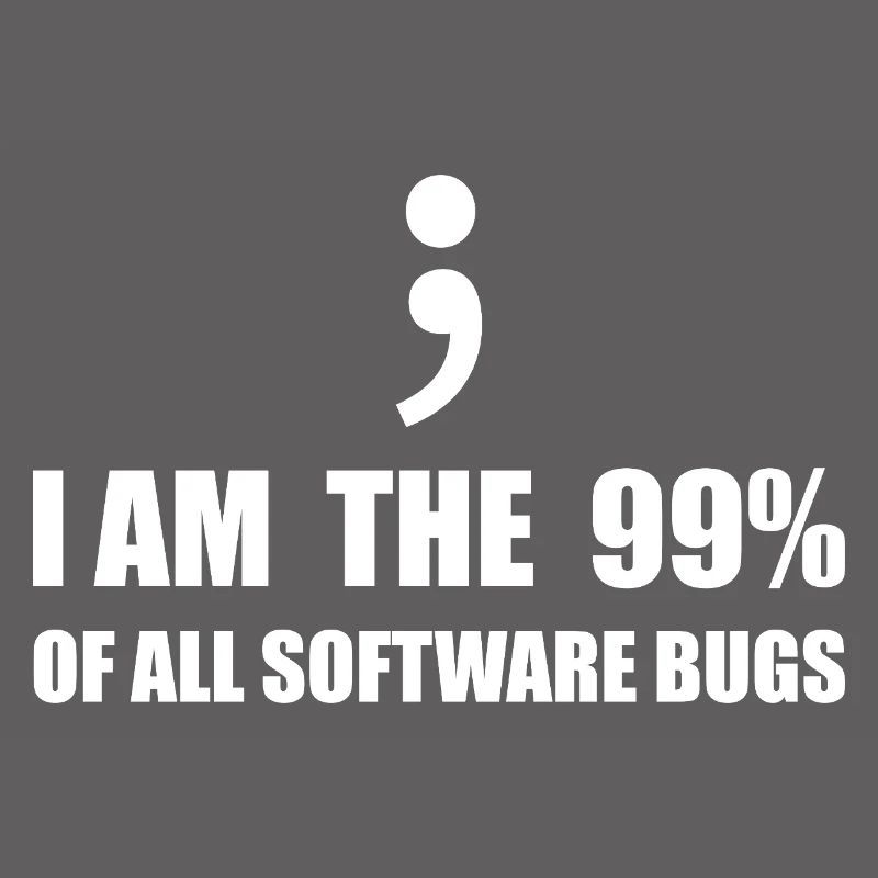 Programmeur Computer Scientist