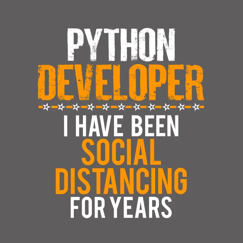Python Developer Funny Shirt, Nice Sarcastic Tee