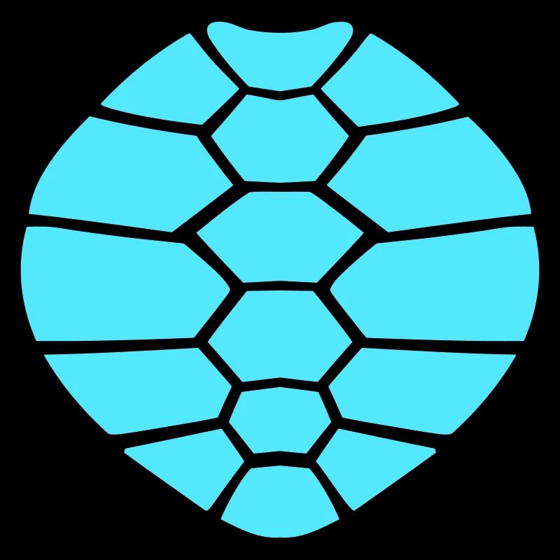 Turtle shell pattern turtle icon cool