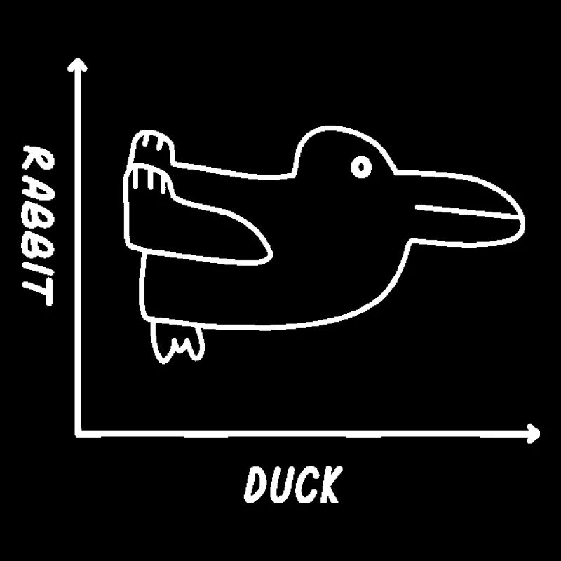 Duck Rabbit Graph Shirt - Fun Math Teacher Easter