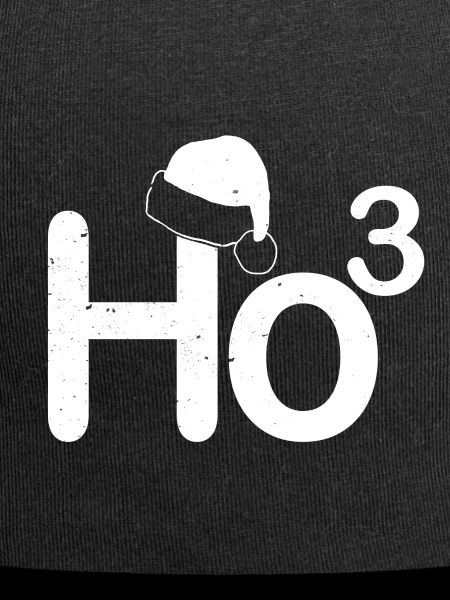 Ho3 Weihnachtslogo mit Mütze