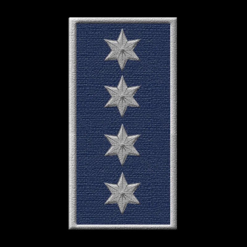Chief inspector