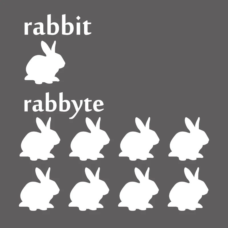 Programmierer Informatiker byte Rabbit Geschenk