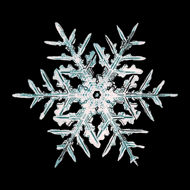 Snow Crystal