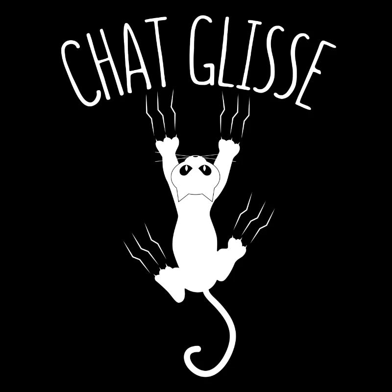 Chat glisse !