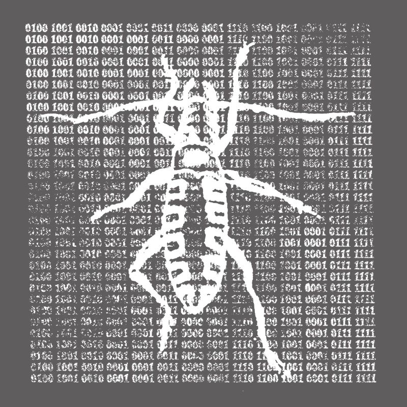 Bitbug - digital worm